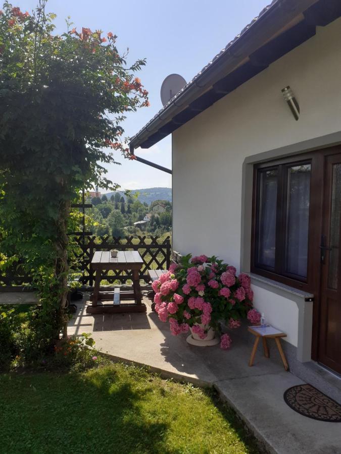 Apartment Petra I Nikola Selište Drežničko Eksteriør bilde