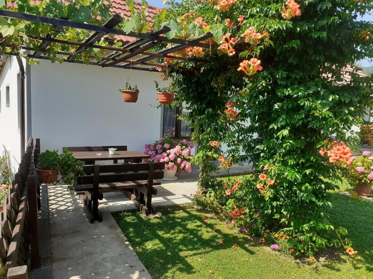 Apartment Petra I Nikola Selište Drežničko Eksteriør bilde