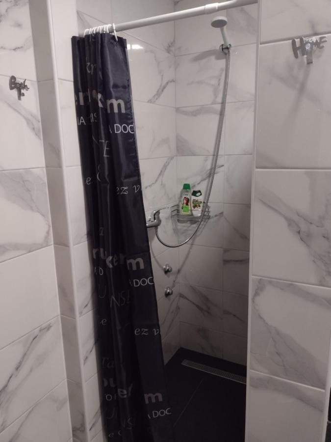Apartment Petra I Nikola Selište Drežničko Eksteriør bilde