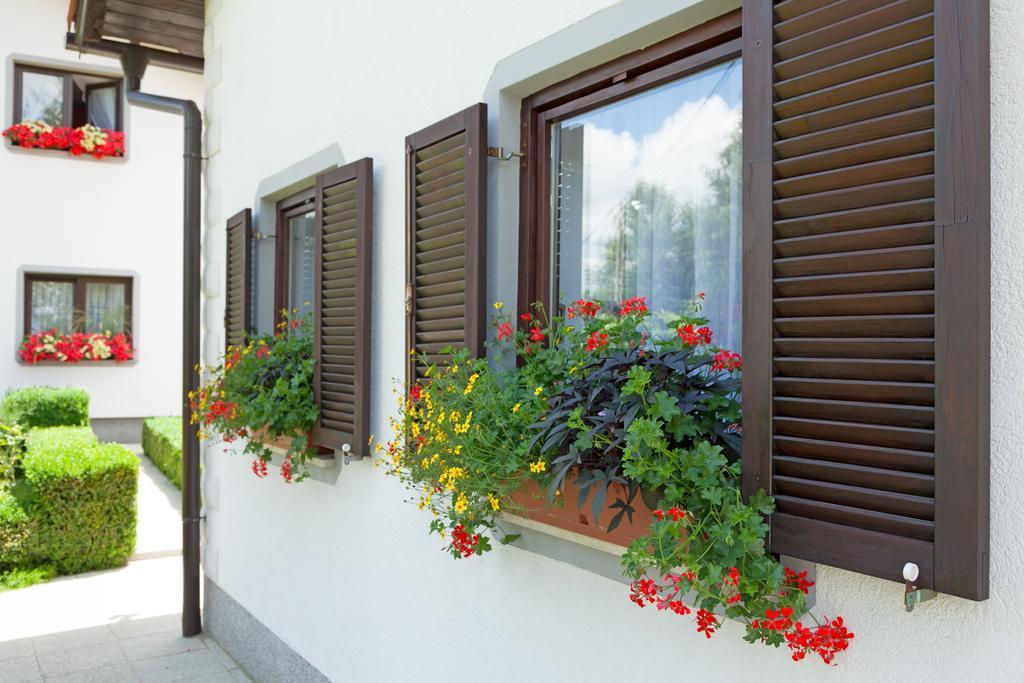 Apartment Petra I Nikola Selište Drežničko Eksteriør bilde