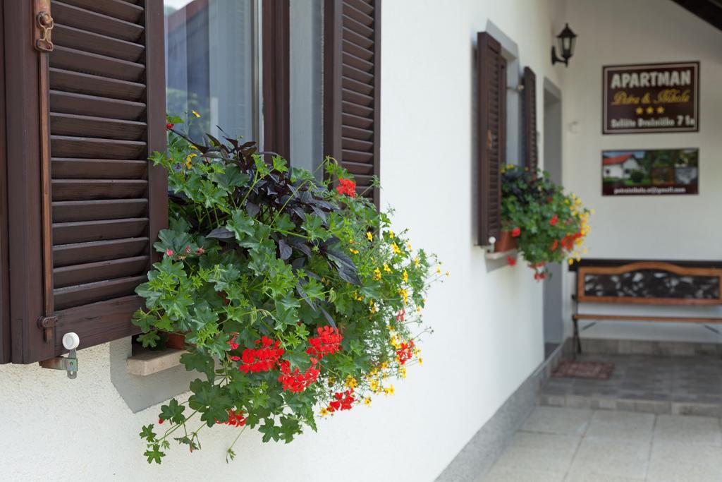 Apartment Petra I Nikola Selište Drežničko Eksteriør bilde