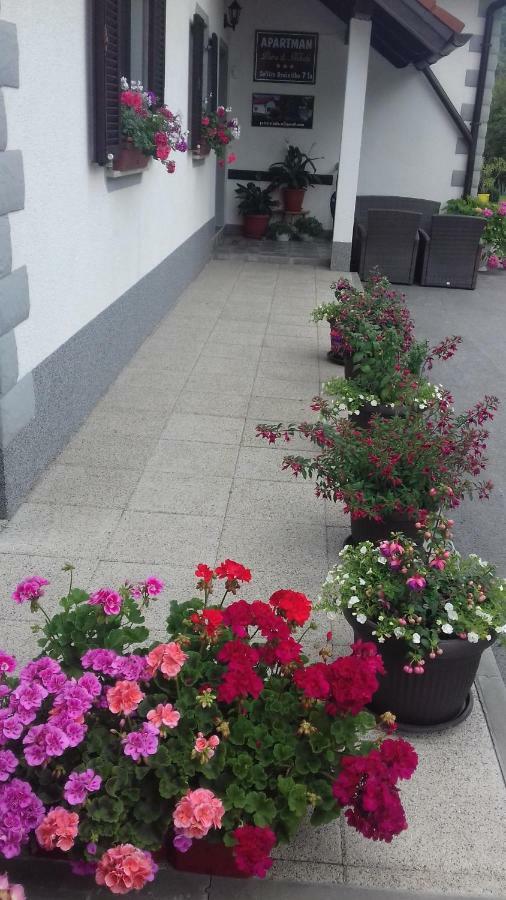 Apartment Petra I Nikola Selište Drežničko Eksteriør bilde